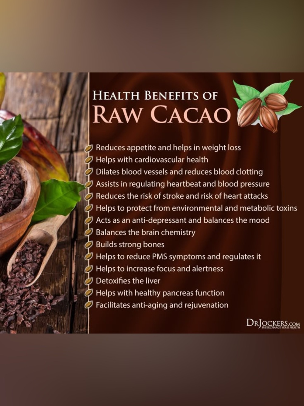 Cacao Beans - Natural  organic